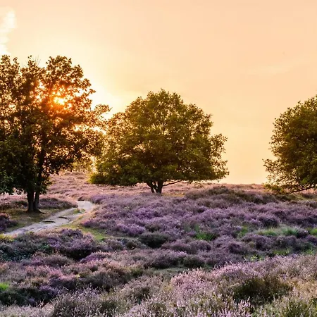 Ferienhaus Bij Meeussen - Schuttersoord