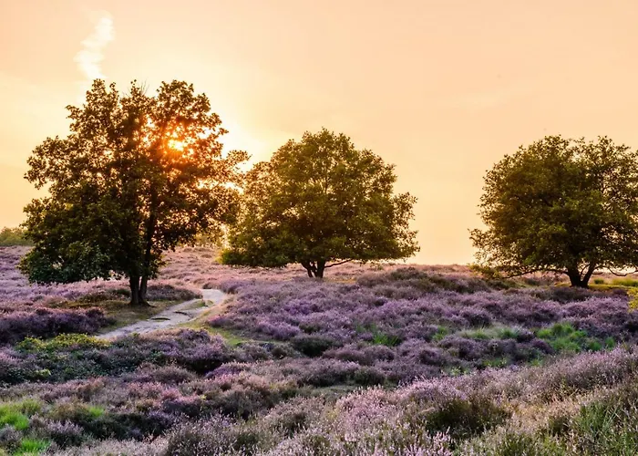 Сasa de vacaciones Bij Meeussen - Schuttersoord